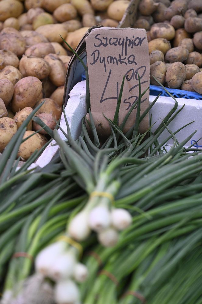  Ceny nowalijek na warszawskich bazarach szokują. Byliśmy i sprawdziliśmy ile trzeba zapłacić
