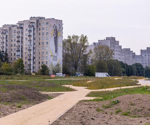 Budowa parku nad Południową Obwodnicą Warszawy