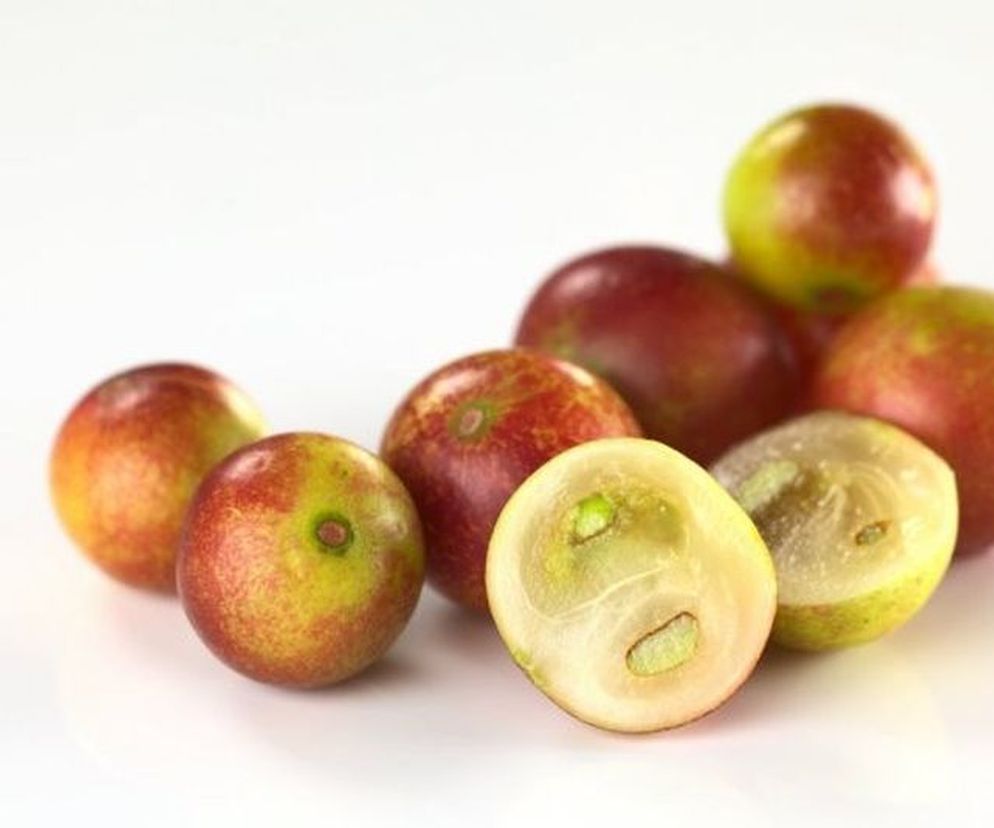 CAMU CAMU – działanie lecznicze i zastosowanie. Fot. Agroforum Perú/Wikimedia Commons, lic. CC BY-SA 4.0