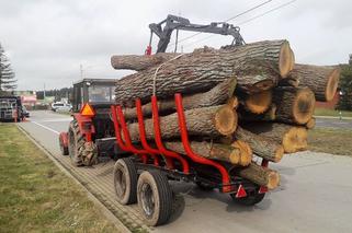 Niemal gubił po drodze kłody drewna.