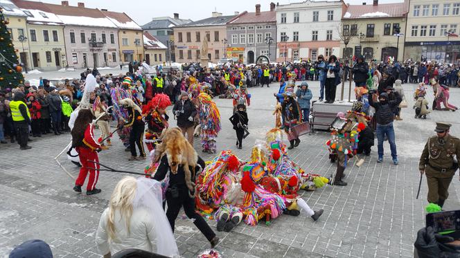 Gody Żywieckie plener