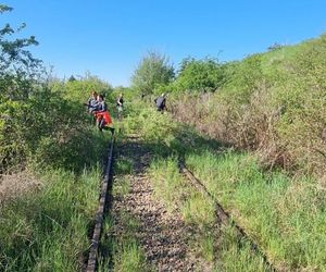 Ludzie sami wyrywają chaszcze na torach. Tak walczą o reaktywację linii kolejowej nr 241 z Tucholi do Koronowa