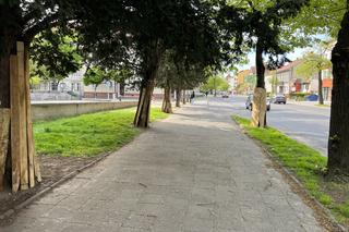 Rusza remont chodnika na Kosynierów Gdyńskich