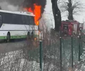 Autobus stanął w płonieniach! Kierowca w porę zatrzymał pojazd. Co było przyczyną pożaru? 