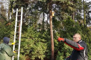  Budki lęgowe zawisły w bydgoskim Ogrodzie Botanicznym UKW w Bydgoszczy