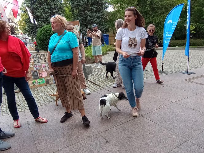 Sztuka dla zwierząt10