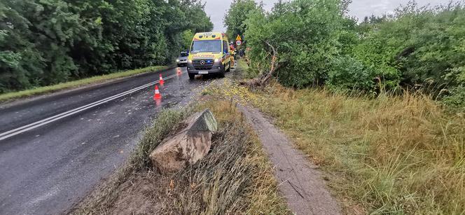 Tragiczny wypadek na ul. Chemicznej w Bydgoszczy! Nie żyje pieszy