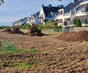 Śmierdzący problem na osiedlu. Mieszkańcy mają hałdy obornika pod oknami