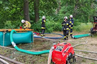 Duży pożar lasu w powiecie wolsztyńskim. Poszkodowani zostali strażacy!