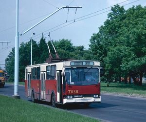 Warszawskie trolejbusy