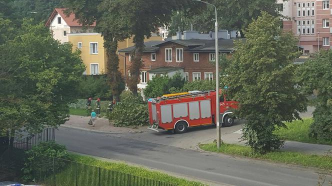 Widok z okna redakcji Eska Info Trójmiasto. Strażacy mają dziś pełne ręce roboty.