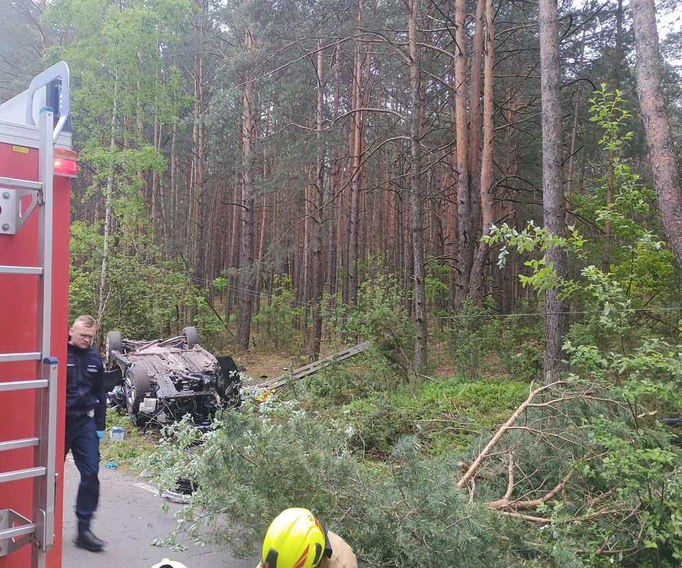Samochód zderzył się z łosiem. Dwie osoby zginęły na miejscu