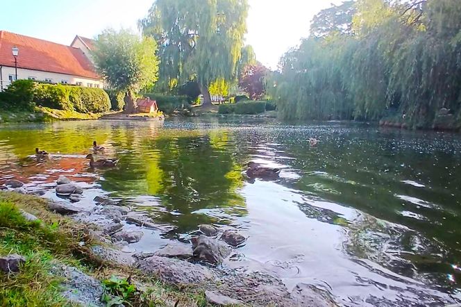 Ystad - malownicze szwedzkie miasteczko nad Bałtykiem