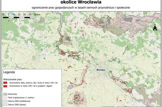 Zakaz wycinania drzew w lasach pod Wrocławiem. Nowa ministra Klimatu i Środowiska zdecydowała