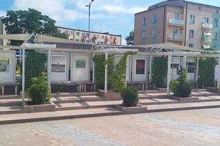 Nowa wystawa ARS w Galerii Jazzowej w Iławie