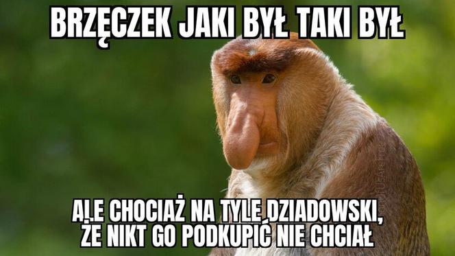 Paulo Sousa chce odejść z reprezentacji! Internet nie ma litości!