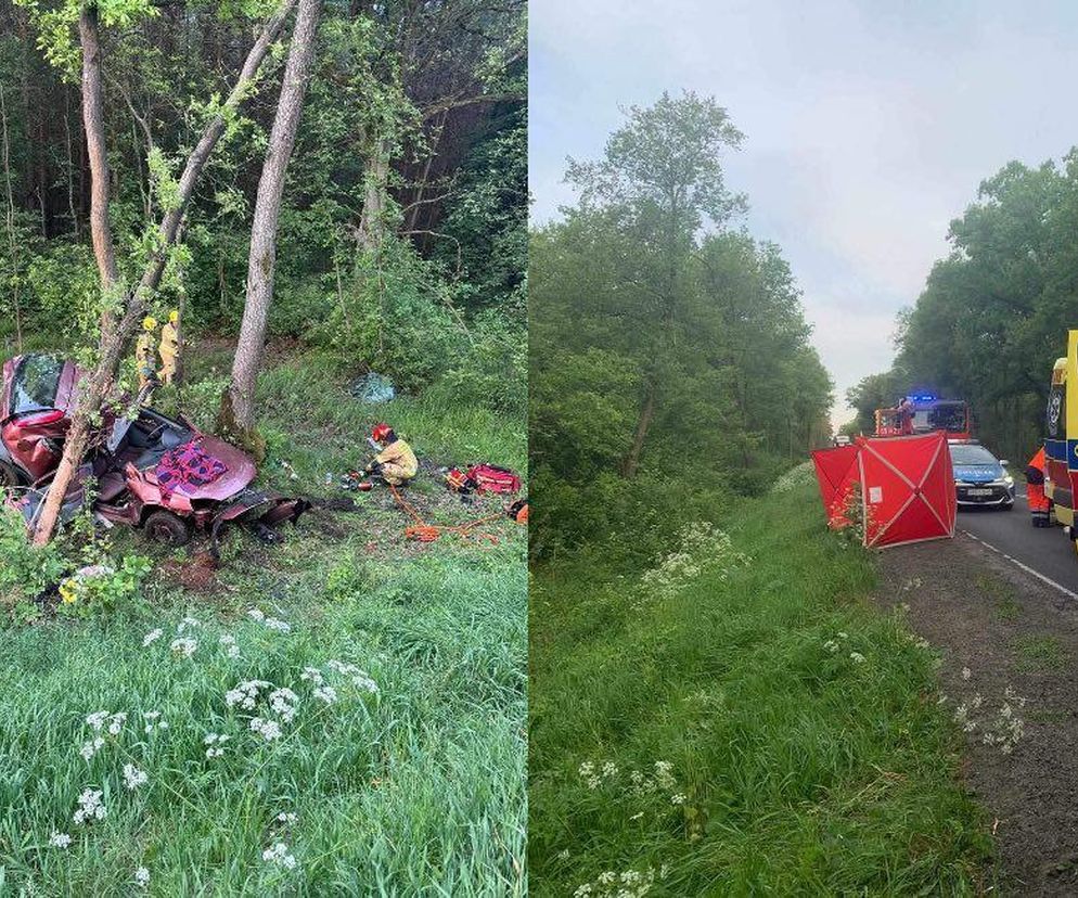 Samochód owinął się wokół drzewa. Nie żyje pasażer! Tragiczny wypadek pod Wyszkowem