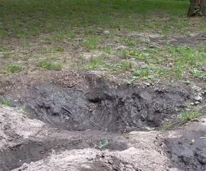 Urządzili sobie tor przeszkód w zabytkowym parku