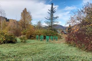 Jabłonki. Tutaj znajdował się pomnik Świerczewskiego 