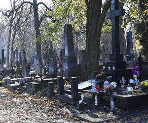 Gwiazdy kwestują na Powązkach