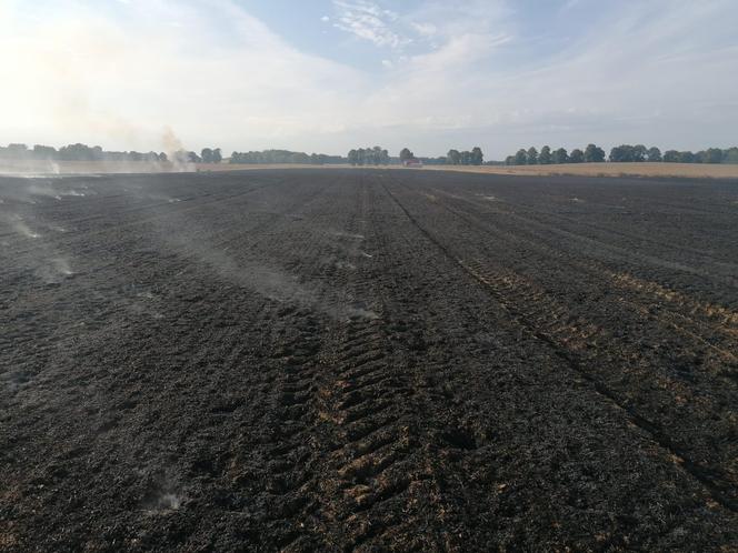 Dwa pożary zboża oraz rżyska w powiecie braniewskim