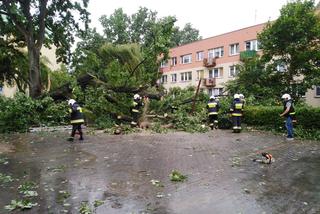 Fatalna pogoda w Białymstoku. Od rana ulewa i silny wiatr [ZDJĘCIA]