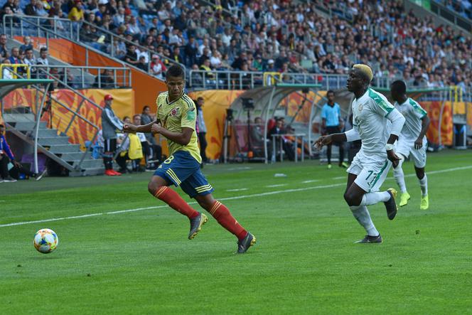 Senegal pokonał Kolumbię. Dziś Honduras zmierzy się z Urugwajem