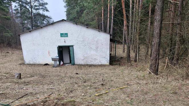 Harcerze zbierają środki na remont bazy w Stańczykach. Tak wygląda baza