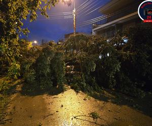 Warszawa zalana po burzy! Gigantyczne szkody na ulicach i posesjach