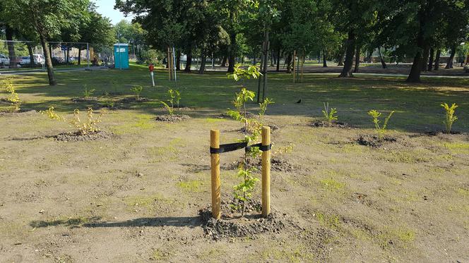 Park Jonstona już otwarty, a kiedy Heermanna? Termin zakończenia prac bliski