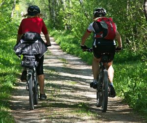 Ścieżka rowerowa z Radomia do Siczek coraz bliżej realizacji. MZDW wkrótce podpisze umowę z wykonawcą