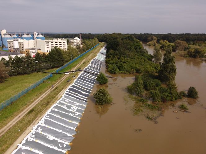 Wrocław Janówek - rozlana Bystrzyca i oczyszczalnia ścieków