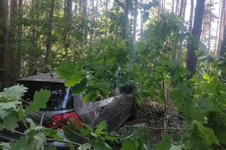 Wypadek pod Toruniem. Zakrwawiony kierowca wjechał autem w las