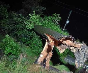 Burzowa noc w Śląskiem. Blisko 10 tys. osób bez prądu. Piorun popalił dom