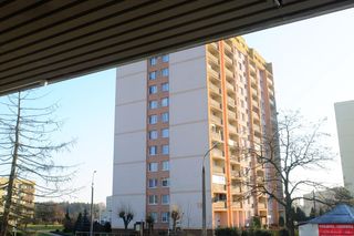 Dęblin. 21-letni Łukasz przyznał się do zabicia swojej matki. Mieszkańcy osiedla są wstrząśnięci tragedią