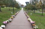 Dwa tysiące chryzantem ozdobiło park w Tarnowie