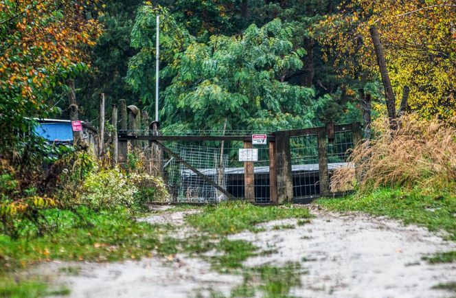 "Dobry, serdeczny". Puławy pogrążone w żałobie. W poniedziałek pogrzeb pana Marcina, którego zagryzły psy