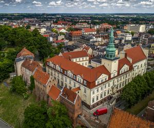 Kto zadba o porządek na przystankach w Grudziądzu? Jest trzech chętnych