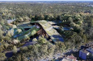 To Muzeum wyrośnie z leśnej ściółki. Otoczone krętymi ścieżkami, z holem działającym jak kompas