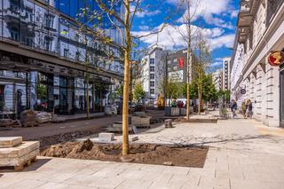 Nowe drzewa na ul. Brackiej w Warszawie