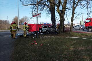 Śmiertelny wypadek pod Zgierzem! Mężczyzna spłonął w objętym pożarem fordzie [ZDJĘCIA]