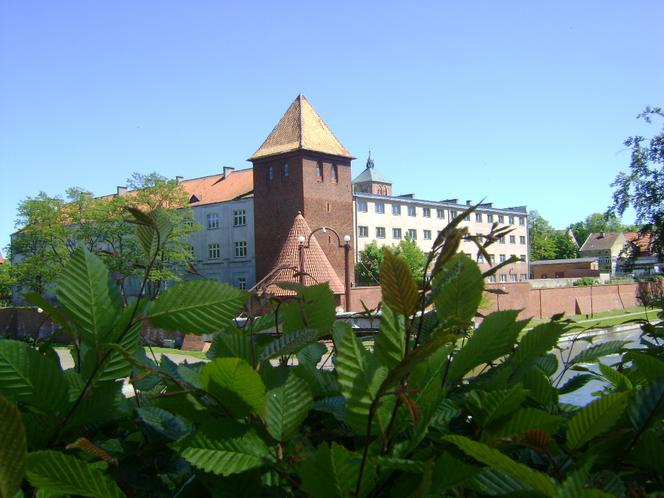    W niecce Amfiteatru Miejskiego w Braniewie znaleziono martwe ptaki. Do tej wody lepiej teraz nie wchodzić