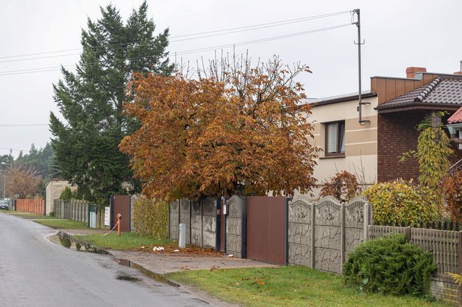 Strzelanina w Wielkopolsce! Policja zatrzymała pięć osób