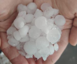 Zniszczone plantacje warzyw i owoców na Dolnym Śląsku. To był prawdziwy armagedon 