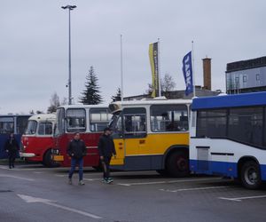 Katarzynki 2024 - wystawa autobusów przy Galerii Panorama