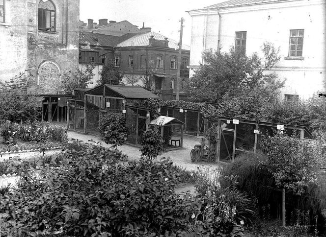 Zoo w Zamościu na starych zdjęciach