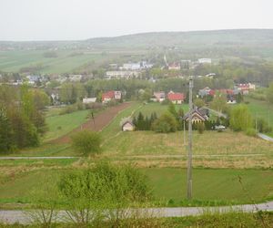 Widok na Bodzentyn z Podgórza