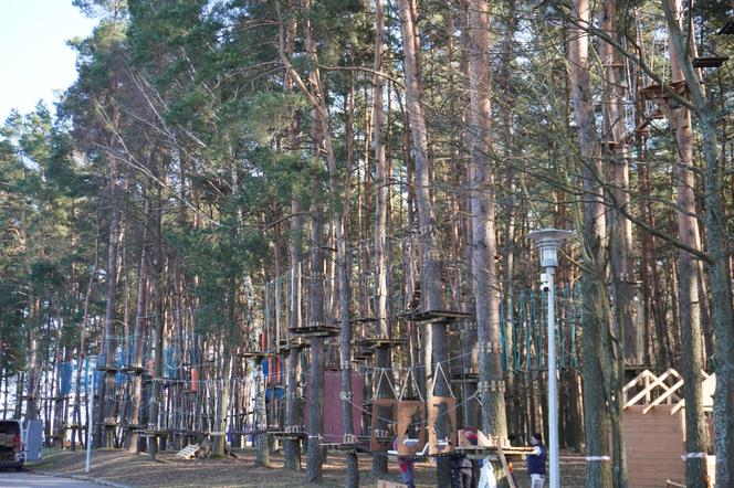 Powstaje park linowy w Białymstoku! To nowa inwestycja na plaży Dojlidy