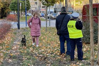 Dzieci zmiecione z pasów na Pradze-Północ. Kobieta za kierownicą