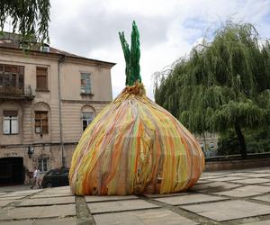 Dzień Cebularza 2024 w Lublinie